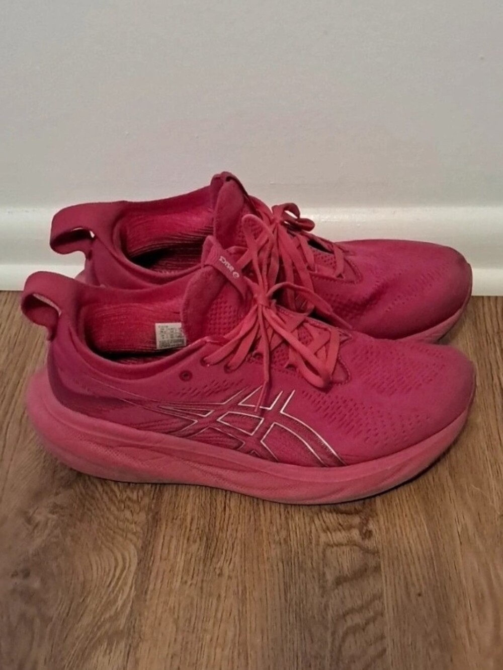 Women's ASICS GEL NIMBUS 25, Size 10